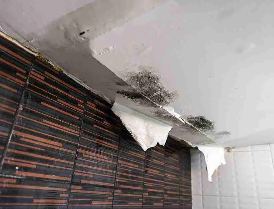 austin roof leak repair