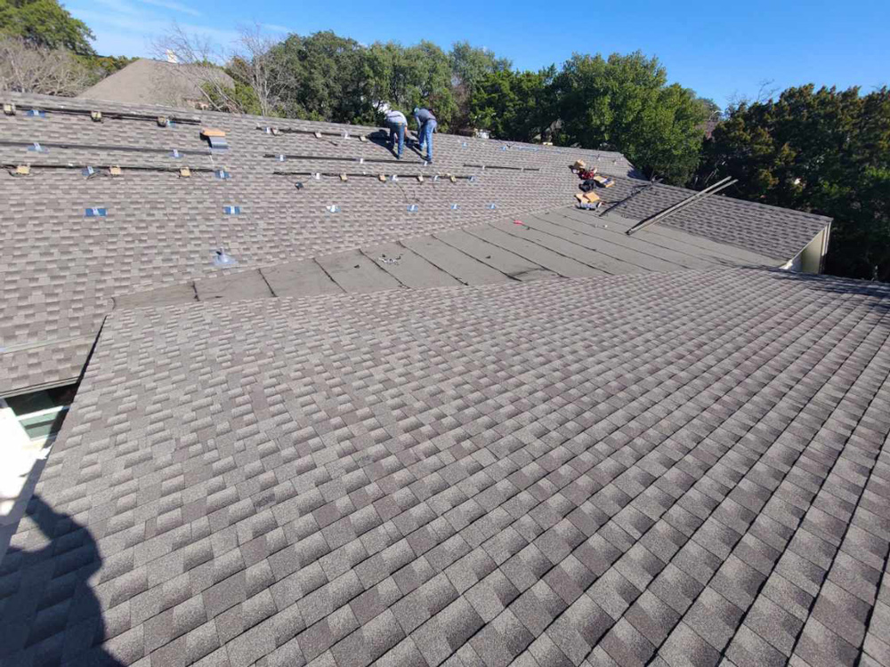 shingle roof replacement