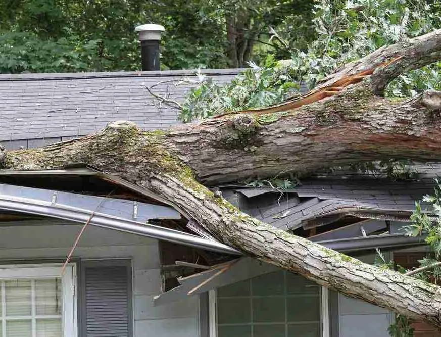 storm damage roof repair