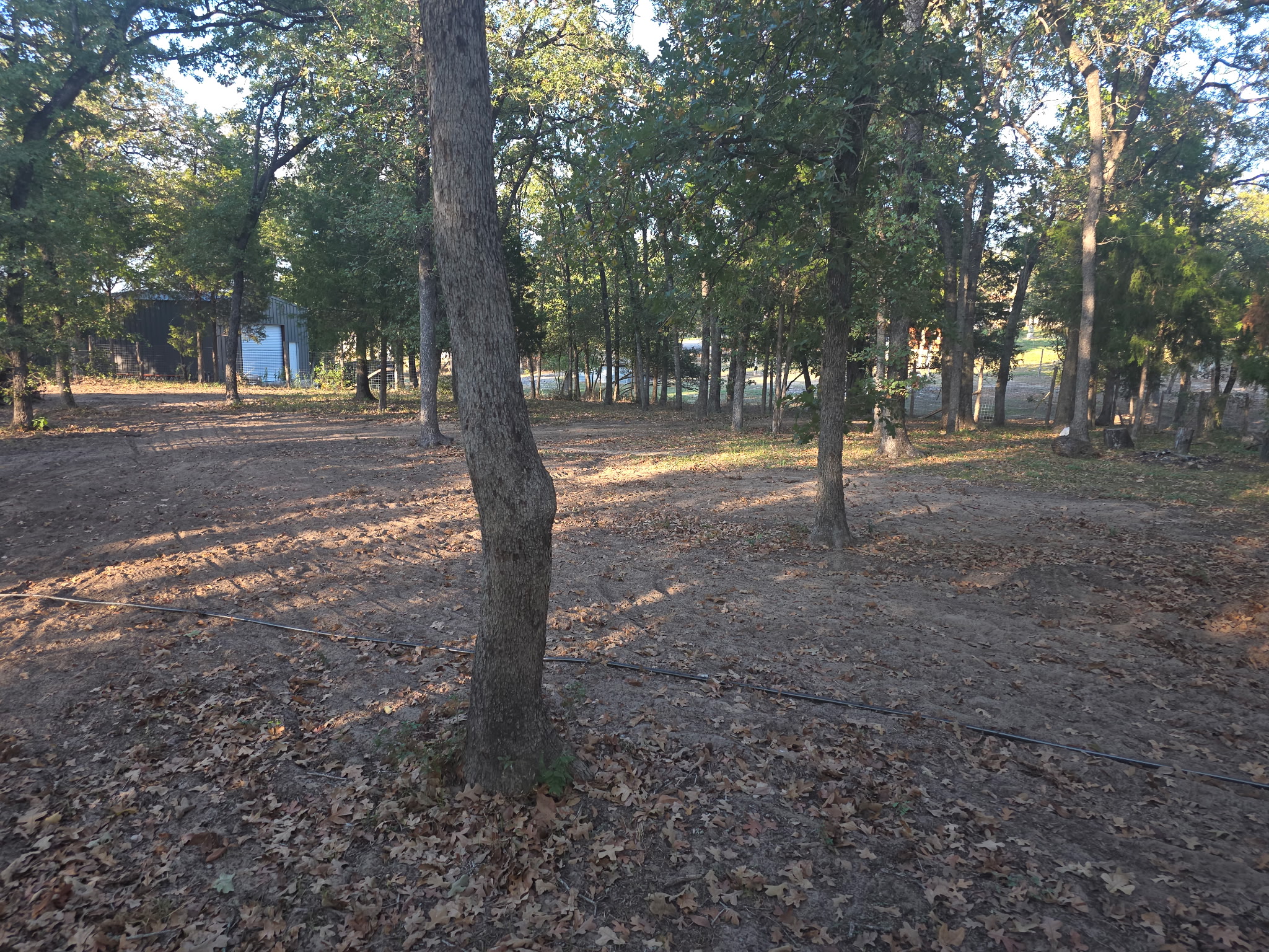 bill sprauer land clearing