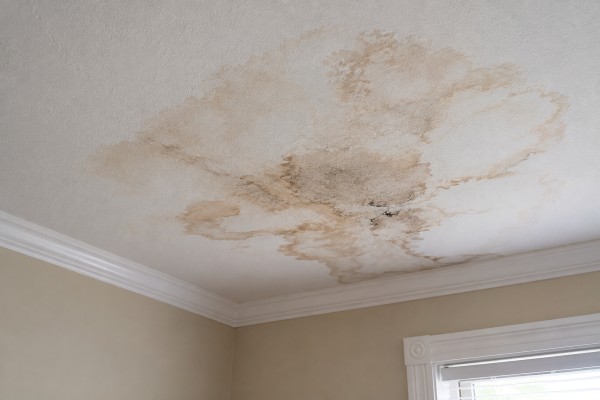 residential house showing stain in the roof