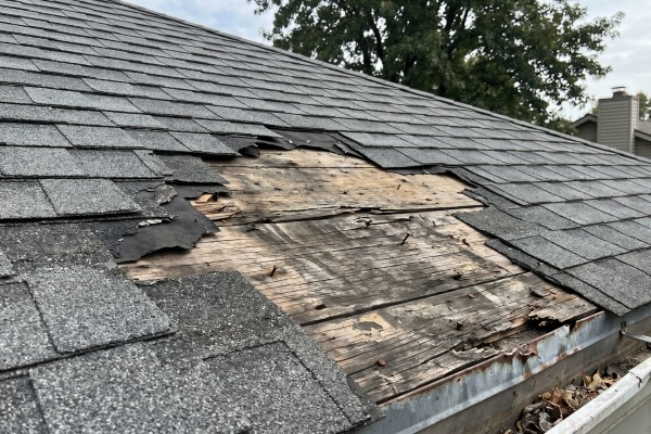 shingles falling off