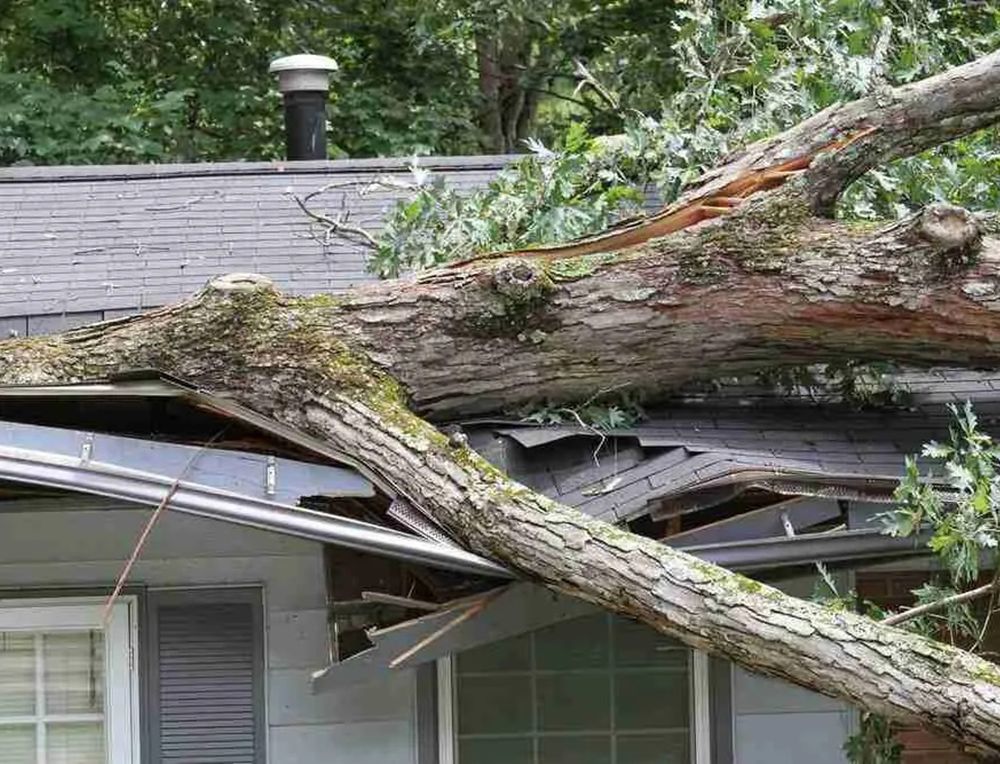 Tree fell on house causing roof damage